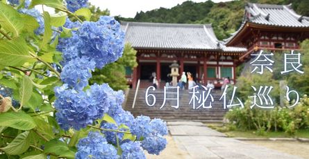 6月は奈良のご開帳巡りへ！唐招提寺・秋篠寺・矢田寺・東明寺をご紹介！