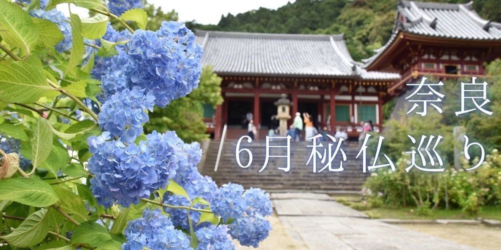 6月は奈良のご開帳巡りへ！唐招提寺・秋篠寺・矢田寺・東明寺をご紹介！