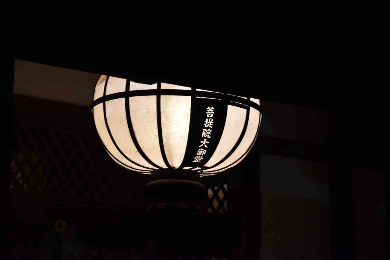 大御堂の灯り 大御堂の灯り