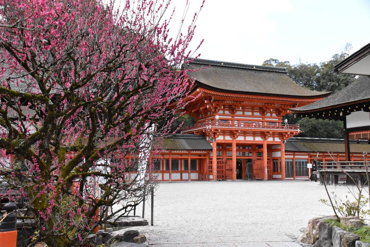 上賀茂神社・下鴨神社 上賀茂神社・下鴨神社