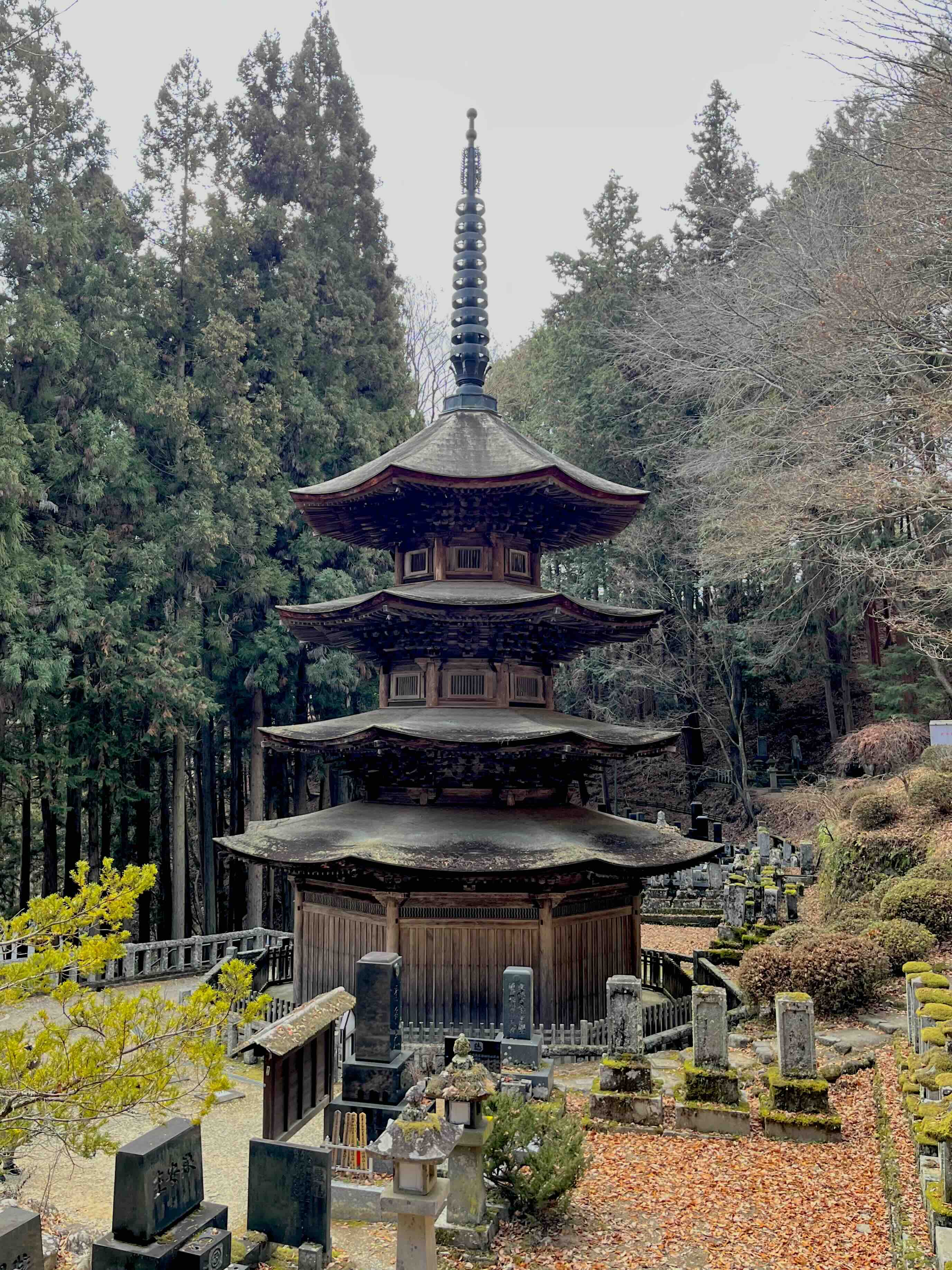 安楽寺 安楽寺